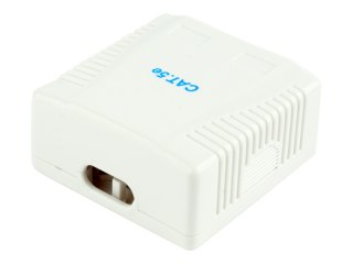 Cablexpert NCAC-2U5E-01 - Gniazdko informatyczne - CAT 5e - UTP - RJ-45 X 2 - biały