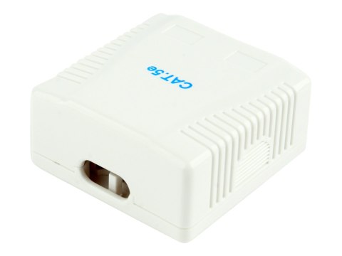 Cablexpert NCAC-2U5E-01 - Gniazdko informatyczne - CAT 5e - UTP - RJ-45 X 2 - biały