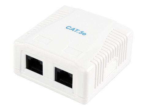 Cablexpert NCAC-2U5E-01 - Gniazdko informatyczne - CAT 5e - UTP - RJ-45 X 2 - biały