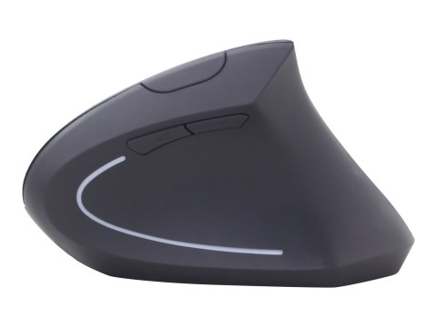 Gembird MUSW-ERGO-01 - Mysz pionowa - ergonomiczna - praworęczna - 6 przyciski - bezprzewodowa - 2.4 GHz - odbiornik bezprzewodo