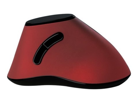 LogiLink Ergonomic Vertical - Mysz pionowa - ergonomiczna - optyczna - 5 przyciski - bezprzewodowa - 2.4 GHz - odbiornik bezprze