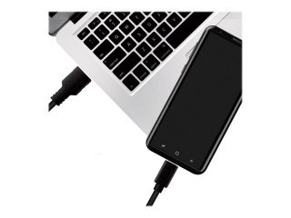 LogiLink - Kabel USB - USB Typ A (M) do USB-C (M) dwudrożny - USB 3.2 Gen 1 - 3 A - 2 m - czarny