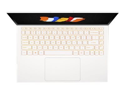Acer CC314-72-75Q6 - Przesuwany - Intel Core i7 - 10750H / do 5 GHz - Win 10 Pro 64-bit - UHD Graphics - 16 GB RAM - 512 GB SSD 
