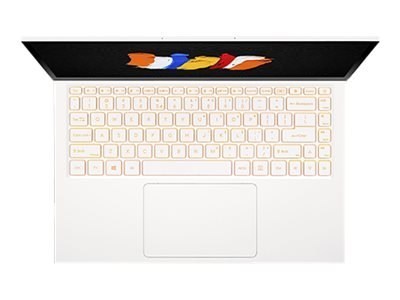 Acer CC314-72-770Z - Przesuwany - Intel Core i7 - 10750H / do 5 GHz - Win 10 Pro 64-bit - UHD Graphics - 16 GB RAM - 1.024 TB SS