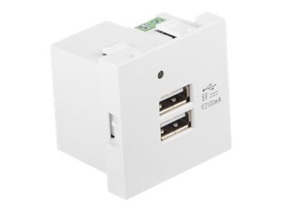 Lanberg - Gniazdo-wyjście - USB - 2 gniazda USB - 2.1 A - biały