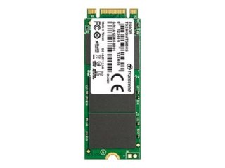 Transcend MTS600S - SSD - 128 GB - wewnętrzny - M.2 2260 - SATA 6Gb/s