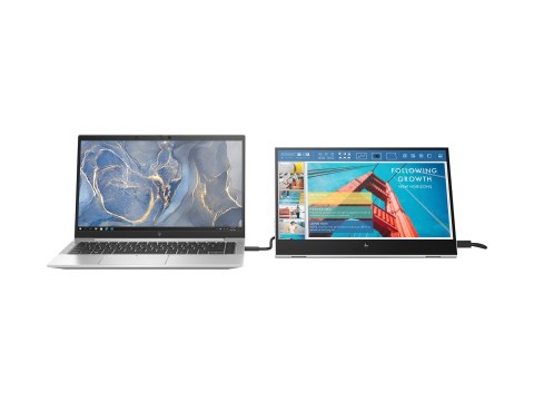 HP E14 G4 Portable - Monitor LED - 14" - przenośny - 1920 x 1080 Full HD (1080p) @ 60 Hz - IPS - 400 cd/m² - 800:1 - 5 ms - 2xUS