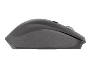 Natec Falcon - Mysz - ergonomiczna - praworęczna - optyczna - 6 przyciski - bezprzewodowa - 2.4 GHz, Bluetooth 5.0 - odbiornik b
