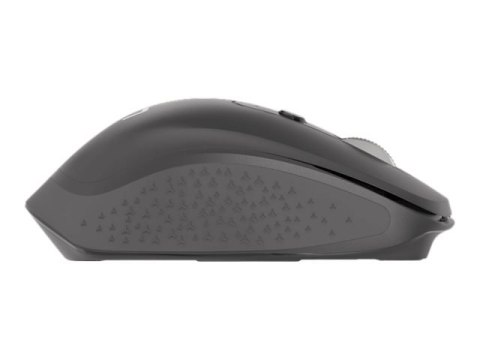 Natec Falcon - Mysz - ergonomiczna - praworęczna - optyczna - 6 przyciski - bezprzewodowa - 2.4 GHz, Bluetooth 5.0 - odbiornik b