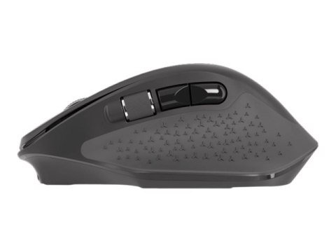 Natec Falcon - Mysz - ergonomiczna - praworęczna - optyczna - 6 przyciski - bezprzewodowa - 2.4 GHz, Bluetooth 5.0 - odbiornik b