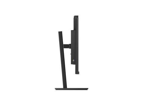 Philips P-line 329P1H - Monitor LED - 32" (31.5" widoczny) - 3840 x 2160 4K @ 60 Hz - IPS - 350 cd/m² - 1000:1 - 4 ms - 2xHDMI, 