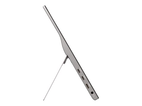 ViewSonic TD1655 - Monitor LED - 16" - przenośny - ekran dotykowy - 1920 x 1080 Full HD (1080p) @ 60 Hz - IPS - 250 cd/m² - 800: