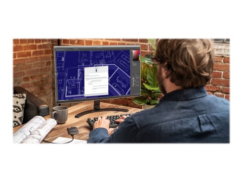 WD My Passport SSD WDBAGF0010BGY - SSD - zaszyfrowany - 1 TB - zewnętrzny (przenośne) - USB 3.2 Gen 2 (USB-C złącze) - 256 bitów