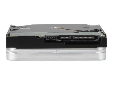 Seagate Exos X16 ST12000NM001G - Dysk twardy - 12 TB - wewnętrzny - 3,5" - SATA 6Gb/s - 7200 obr/min - bufor: 256 MB