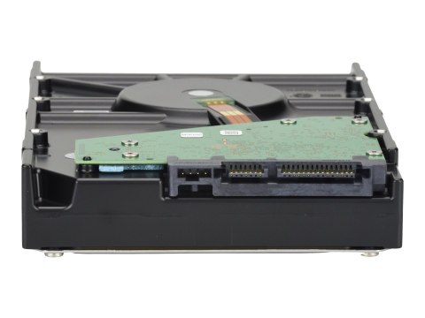 Seagate Exos 7E8 ST8000NM000A - Dysk twardy - 8 TB - wewnętrzny - 3,5" - SATA 6Gb/s - 7200 obr/min - bufor: 256 MB