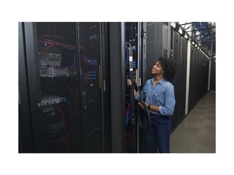 APC Rack PDU 9000 Switched APDU9941 - Jednostka dystrybucji zasilania (montowany w stojaku) - AC 200/208 V - 4992 VA - Ethernet 