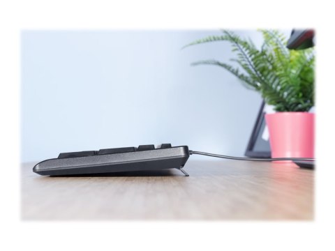 Trust Primo - Klawiatura - USB - QWERTY