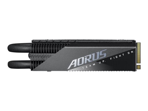 AORUS 7000s Prem. - SSD - 1 TB - wewnętrzny - M.2 2280 - PCIe 4.0 x4 (NVMe) - bufor: 1 GB - AES - radiator zintegrowany