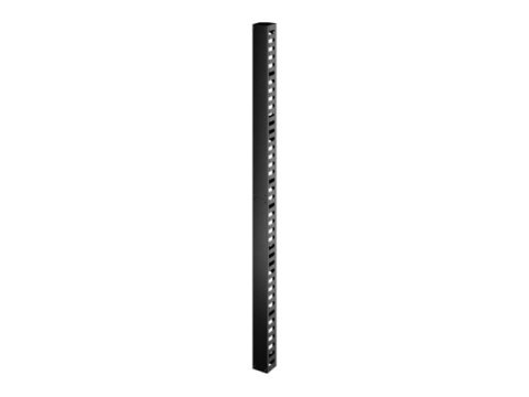 APC Easy Rack - Organizer kabli w obudowie (pion) - czarny - 42U