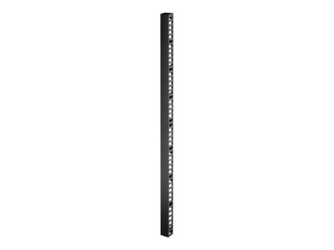 APC Easy Rack - Organizer kabli w obudowie (pion) - czarny - 48U
