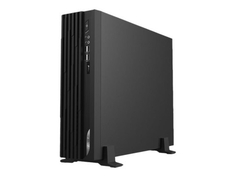 MSI PRO DP130 11QL 047XEU - SFF Pentium Gold G6405 - RAM 8 GB - SSD 256 GB - GF GT 730 - Gigabit Ethernet - brak - monitor: brak