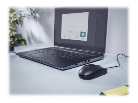 Trust Basi - Mysz - prawo i leworęczna - optyczna - 3 przyciski - przewodowa - USB 2.0