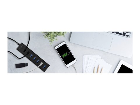 ICY BOX IB-HUB1700-U3 - Koncentrator - 7 x SuperSpeed USB 3.0 - stacjonarny