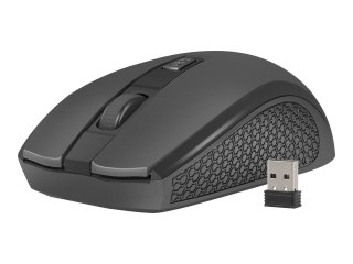 Natec Jay 2 - Mysz - prawo i leworęczna - optyczna - 4 przyciski - bezprzewodowa - 2.4 GHz - odbiornik bezprzewodowy USB - czarn