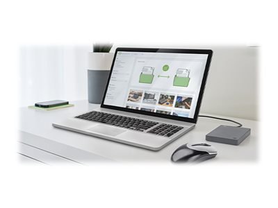 Seagate Basic STJL5000400 - Dysk twardy - 5 TB - zewnętrzny (przenośne) - USB 3.0 - szary