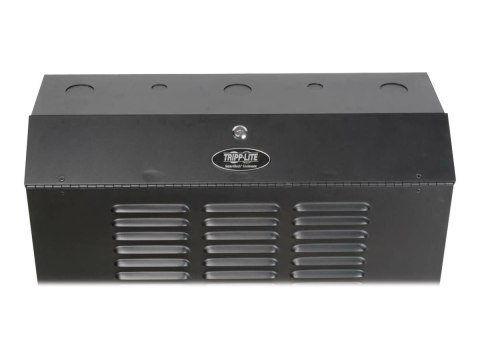 Eaton Tripp Lite Series 6U Wall Mount Rack Enclosure Server Cabinet Vertical 36" Deep - Stojak szafa - do montażu na ścianie - c