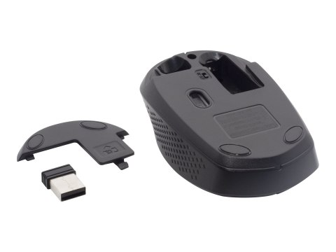 Gembird Backlight Pro Business Slim wireless desktop set - Zestaw klawiatura i mysz - podświetlenie - bezprzewodowa - 2.4 GHz - 