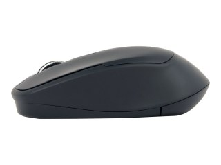 Gembird MUSW-4B-05 - Mysz - ergonomiczna - optyczna - 4 przyciski - bezprzewodowa - 2.4 GHz - odbiornik bezprzewodowy USB - czar