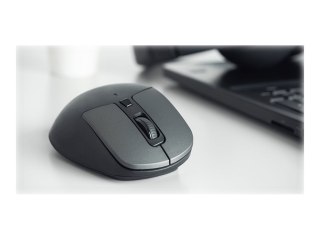 Natec Blackbird 2 - Mysz - ergonomiczna - praworęczna - optyczna - 6 przyciski - bezprzewodowa - 2.4 GHz - odbiornik bezprzewodo