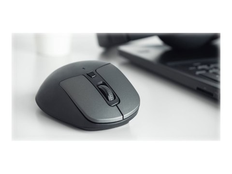 Natec Blackbird 2 - Mysz - ergonomiczna - praworęczna - optyczna - 6 przyciski - bezprzewodowa - 2.4 GHz - odbiornik bezprzewodo