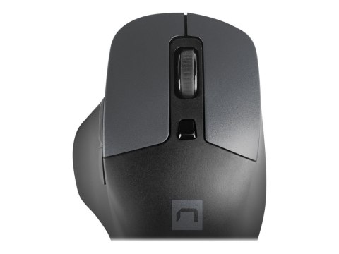 Natec Blackbird 2 - Mysz - ergonomiczna - praworęczna - optyczna - 6 przyciski - bezprzewodowa - 2.4 GHz - odbiornik bezprzewodo