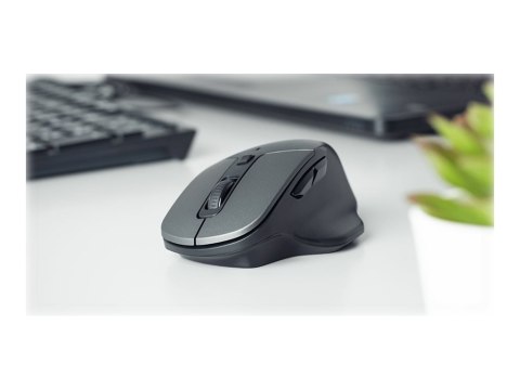 Natec Blackbird 2 - Mysz - ergonomiczna - praworęczna - optyczna - 6 przyciski - bezprzewodowa - 2.4 GHz - odbiornik bezprzewodo