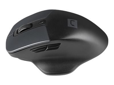 Natec Blackbird 2 - Mysz - ergonomiczna - praworęczna - optyczna - 6 przyciski - bezprzewodowa - 2.4 GHz - odbiornik bezprzewodo
