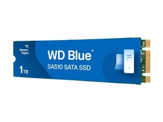 WD Blue SA510 WDS100T3B0B-00AXS0 - SSD - 1 TB - wewnętrzny - M.2 2280 - SATA 6Gb/s