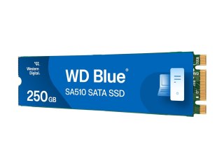 WD Blue SA510 WDS250G3B0B-00AXS0 - SSD - 250 GB - wewnętrzny - M.2 2280 - SATA 6Gb/s - niebieski
