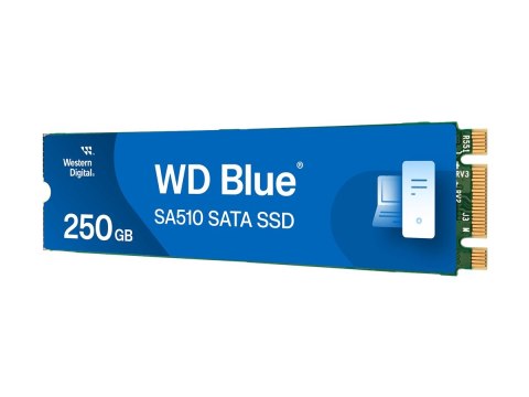 WD Blue SA510 WDS250G3B0B-00AXS0 - SSD - 250 GB - wewnętrzny - M.2 2280 - SATA 6Gb/s - niebieski