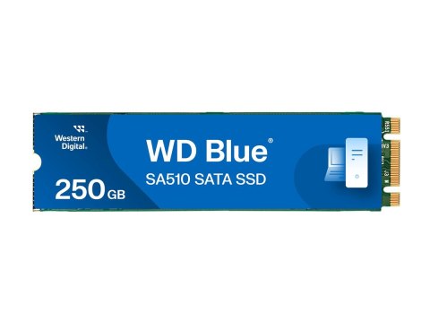 WD Blue SA510 WDS250G3B0B-00AXS0 - SSD - 250 GB - wewnętrzny - M.2 2280 - SATA 6Gb/s - niebieski