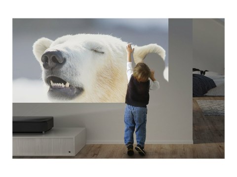 Epson EH-LS800B - Projektor 3LCD - 4000 lumeny (biel) - 4000 lumeny (kolor) - 3840 x 2160 (3 x 1920 x 1080) - 16:9 - 4K - obiekt