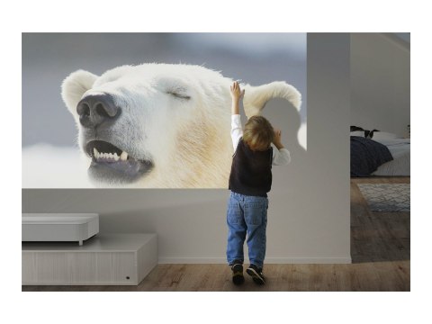 Epson EH-LS800W - Projektor 3LCD - 4000 lumeny (biel) - 4000 lumeny (kolor) - 3840 x 2160 (3 x 1920 x 1080) - 16:9 - 4K - obiekt