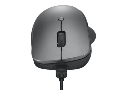 Lenovo Professional - Mysz - ergonomiczna - niebieska optyczna - 6 przyciski - bezprzewodowa - Bluetooth 5.1 - gradowo-szary - d
