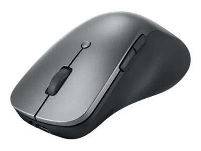 Lenovo Professional - Mysz - ergonomiczna - niebieska optyczna - 6 przyciski - bezprzewodowa - Bluetooth 5.1 - gradowo-szary - d