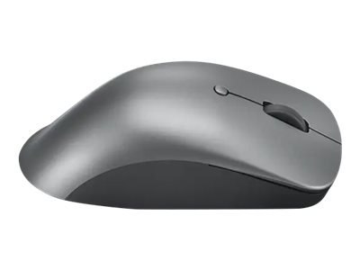 Lenovo Professional - Mysz - ergonomiczna - niebieska optyczna - 6 przyciski - bezprzewodowa - Bluetooth 5.1 - gradowo-szary - d