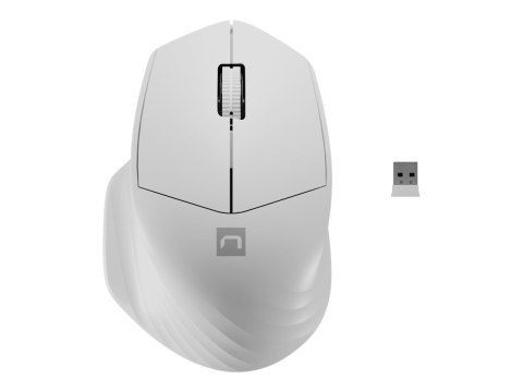 Natec Siskin 2 - Mysz - ergonomiczna - optyczna - 3 przyciski - bezprzewodowa - Bluetooth 5.0, 2.4 GHz - odbiornik bezprzewodowy