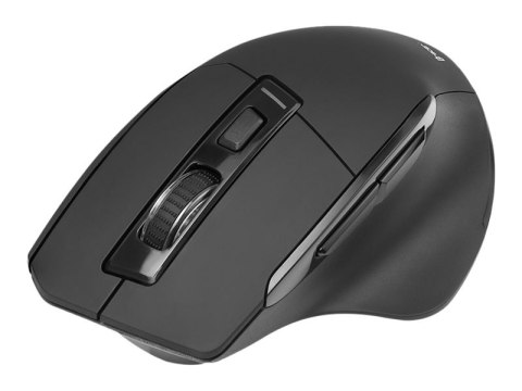Tracer Cozy - Mysz - ergonomiczna - praworęczna - optyczna - 6 przyciski - bezprzewodowa - 2.4 GHz - odbiornik bezprzewodowy USB