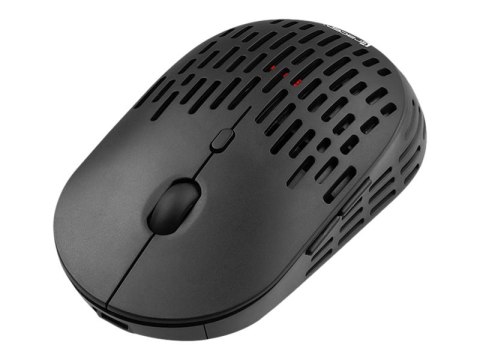 Tracer Punch - Mysz - optyczna - 5 przyciski - bezprzewodowa - 2.4 GHz - odbiornik bezprzewodowy USB - czarny