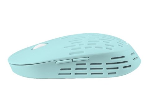 Tracer Punch - Mysz - optyczna - 5 przyciski - bezprzewodowa - 2.4 GHz - odbiornik bezprzewodowy USB - mięta